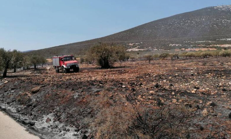 φωτιά Ερμιονίδα (2)