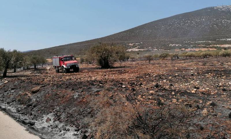 Ερμιονίδα: Άμεση επέμβαση για φωτιά στην περιοχή Πλάτωμα Διδύμων – Λουκαϊτίου