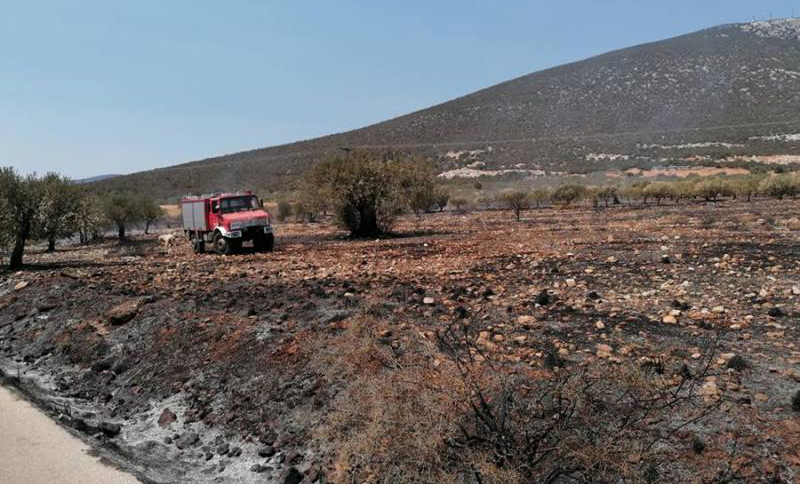 φωτιά Ερμιονίδα (2)