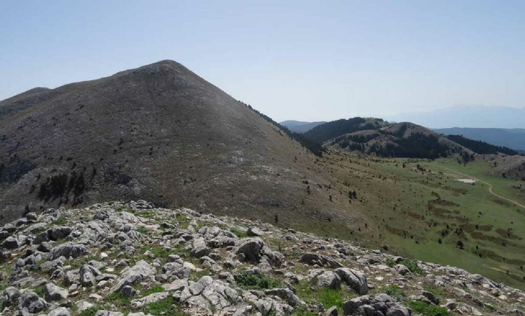 Μεγάλη Τούρλα Σίταινα ΦΩΤΟ Κ Τζιαμπάσης