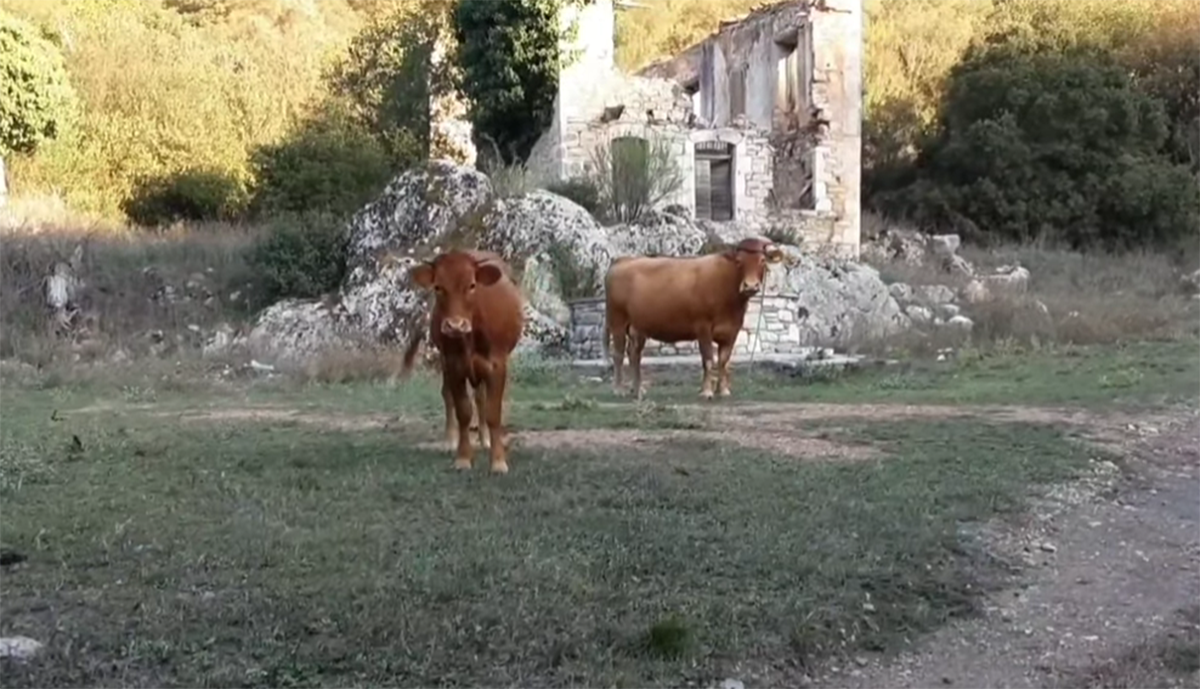 Ρωμύρι Μεσσηνίας