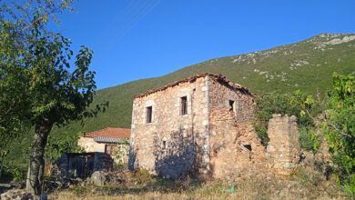 Βελανιδιά Μεσσηνίας (2)