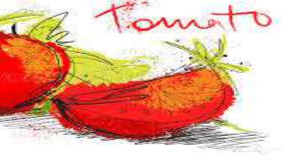 Δήμος Ερμιονίδας: “Γιορτή Ντομάτας” στο Ράδο της Κοινότητας Διδύμων