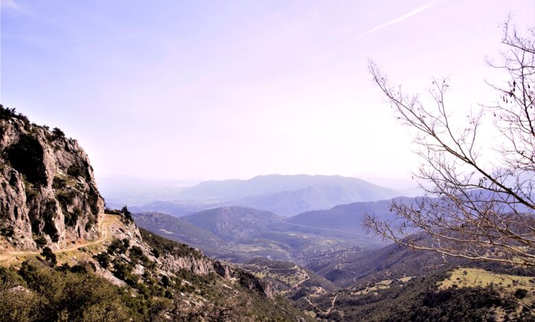 Φαρμακάς