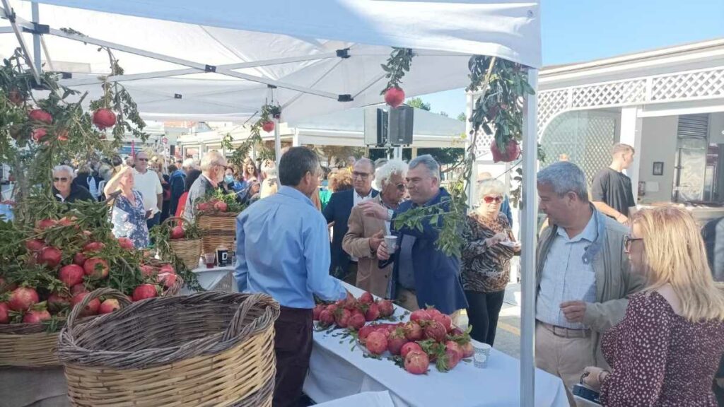 Γιορτή ροδιού Ερμιόνη Ανδρέας Πουλάς 1