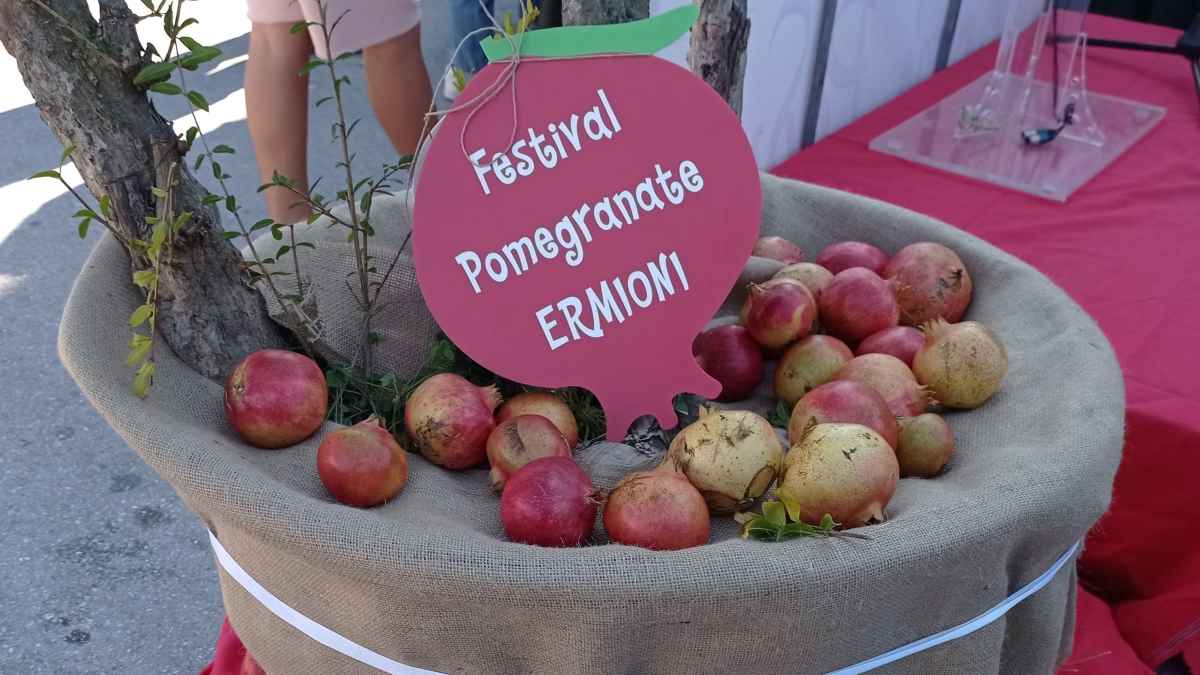 Γιορτή ροδιού Ερμιόνη 6