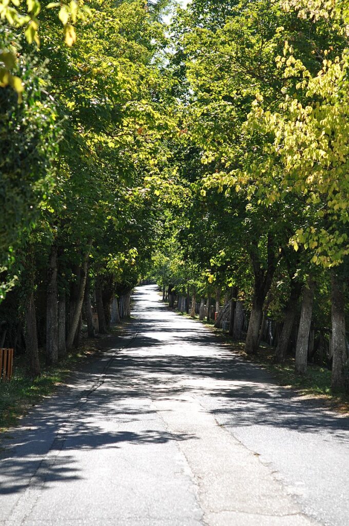 Ο Δρόμος της Αγάπης (2)