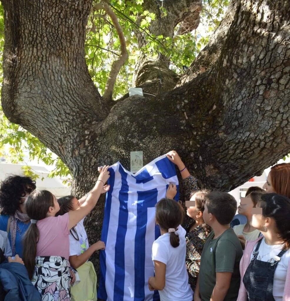 Πλάτανος ελευθερίας 2