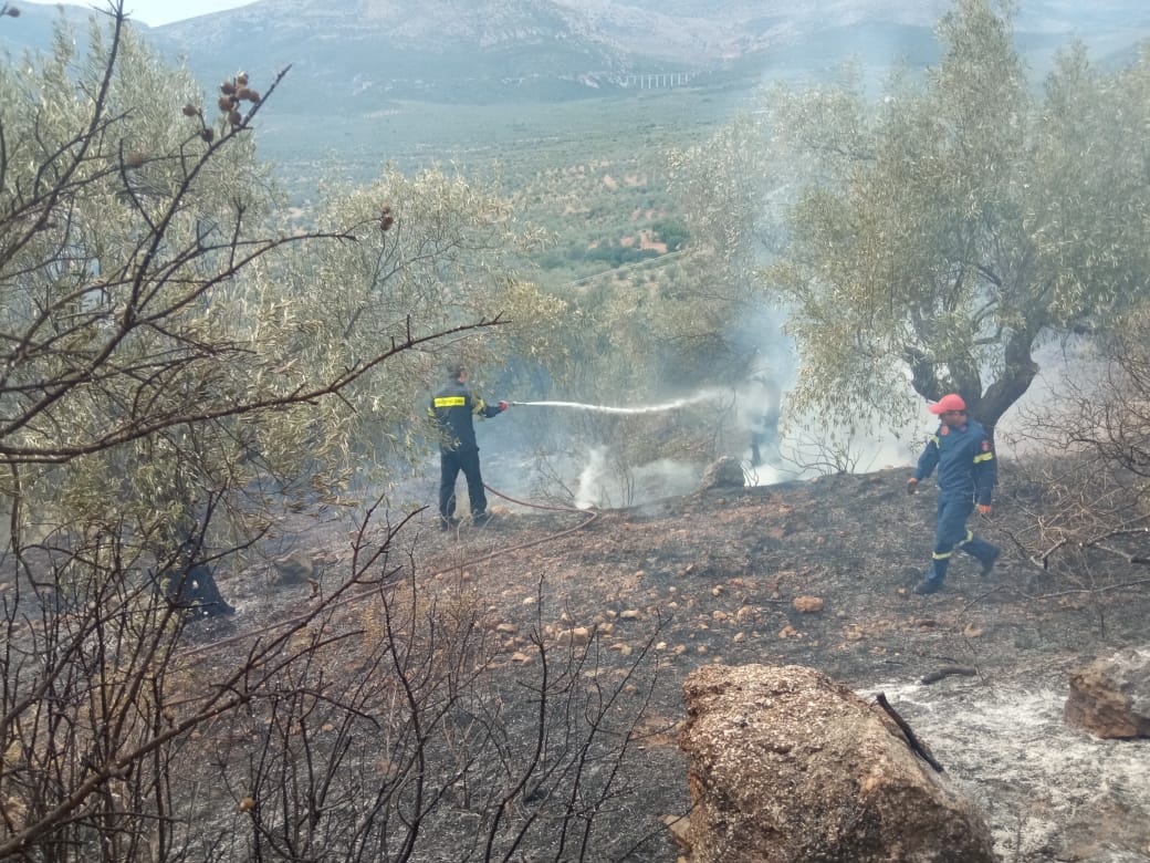 Φωτιά Αχλαδόκαμπος (4)