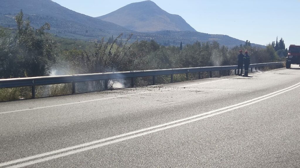 Φωτιά διασταύρωση Μυκηνών Φιχτίων (3)