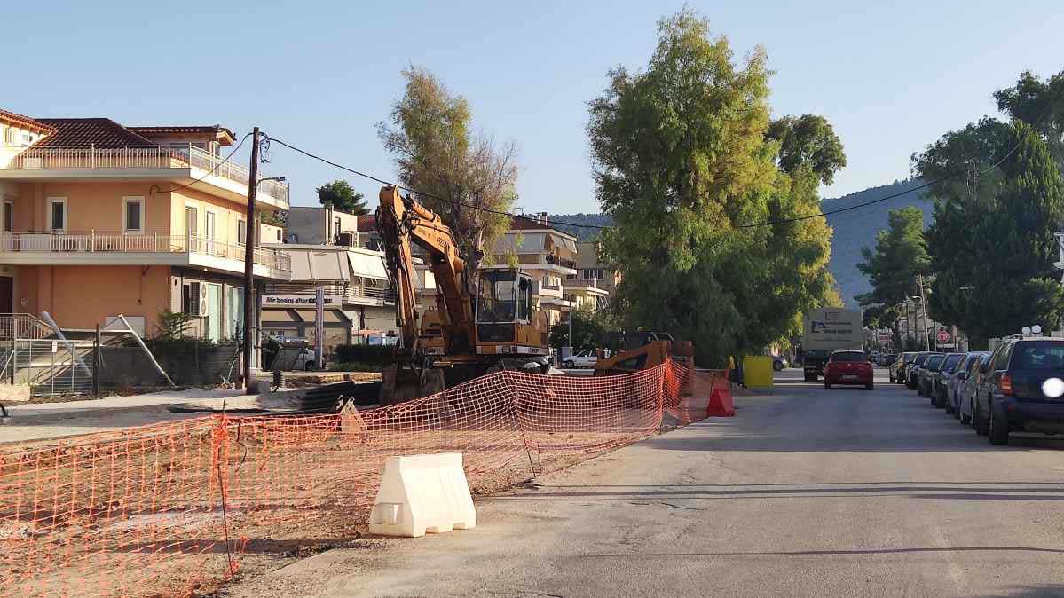 Ναύπλιο: Λιγοστεύουν τα δέντρα στην Αιγίου; – Απόφαση κοπής ευκαλύπτων