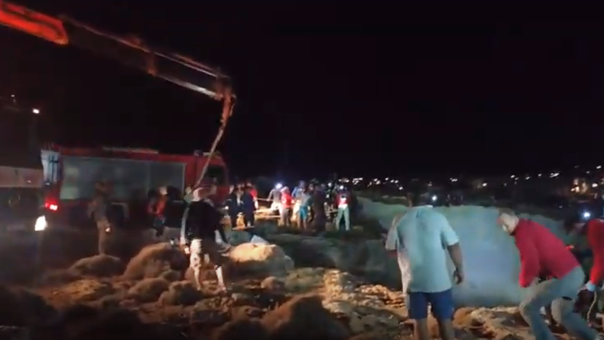 Τραγωδία στα Κύθηρα: «Πνίγηκαν έξι μπροστά μου» αναφέρει ο Δήμαρχος – Αγκαλιάζονταν για να μείνουν ενωμένοι στα βράχια (video)