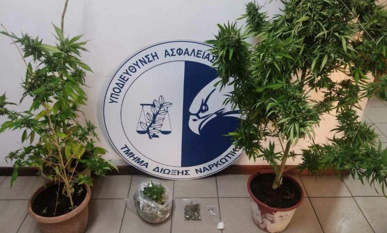 Τμήμα Δίωξης Ναρκωτικών