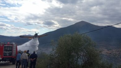 Φωτιά Αχλαδόκαμπος (2)