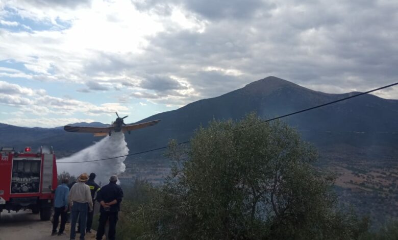 Φωτιά Αχλαδόκαμπος (2)