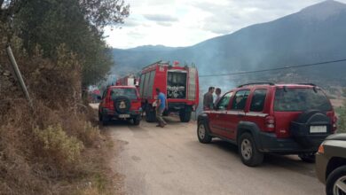 Φωτιά Αχλαδόκαμπος (5)