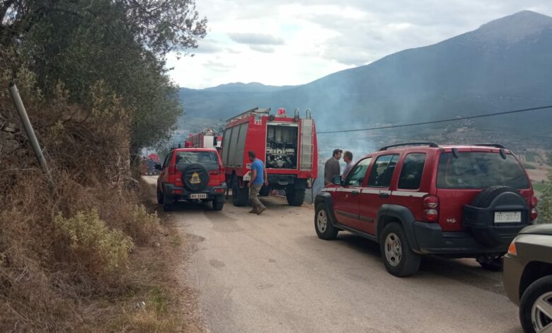 Φωτιά Αχλαδόκαμπος (5)