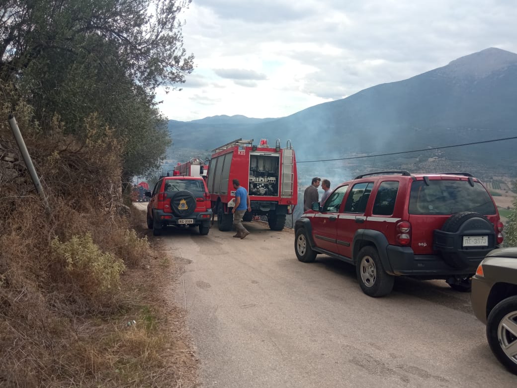 Αργολίδα: Μαζική κινητοποίηση για να μην μπει η φωτιά στον Αχλαδόκαμπο (Εικόνες, βίντεο)