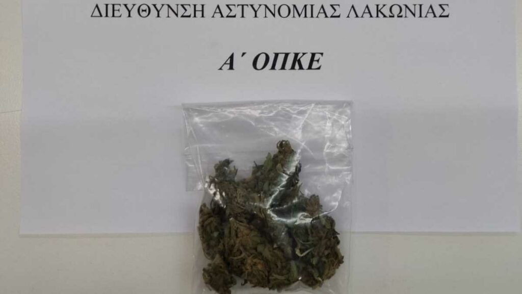 Αστυνομικές επιχειρήσεις ΓΑΔΠΠ 30 Νοεμβρίου