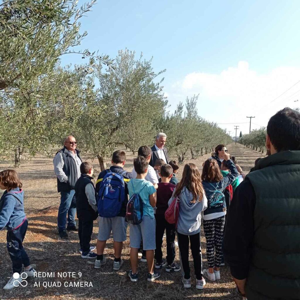 Επίσκεψη μαθητών στον ελαιώνα της οικογένειας Κωστελένου