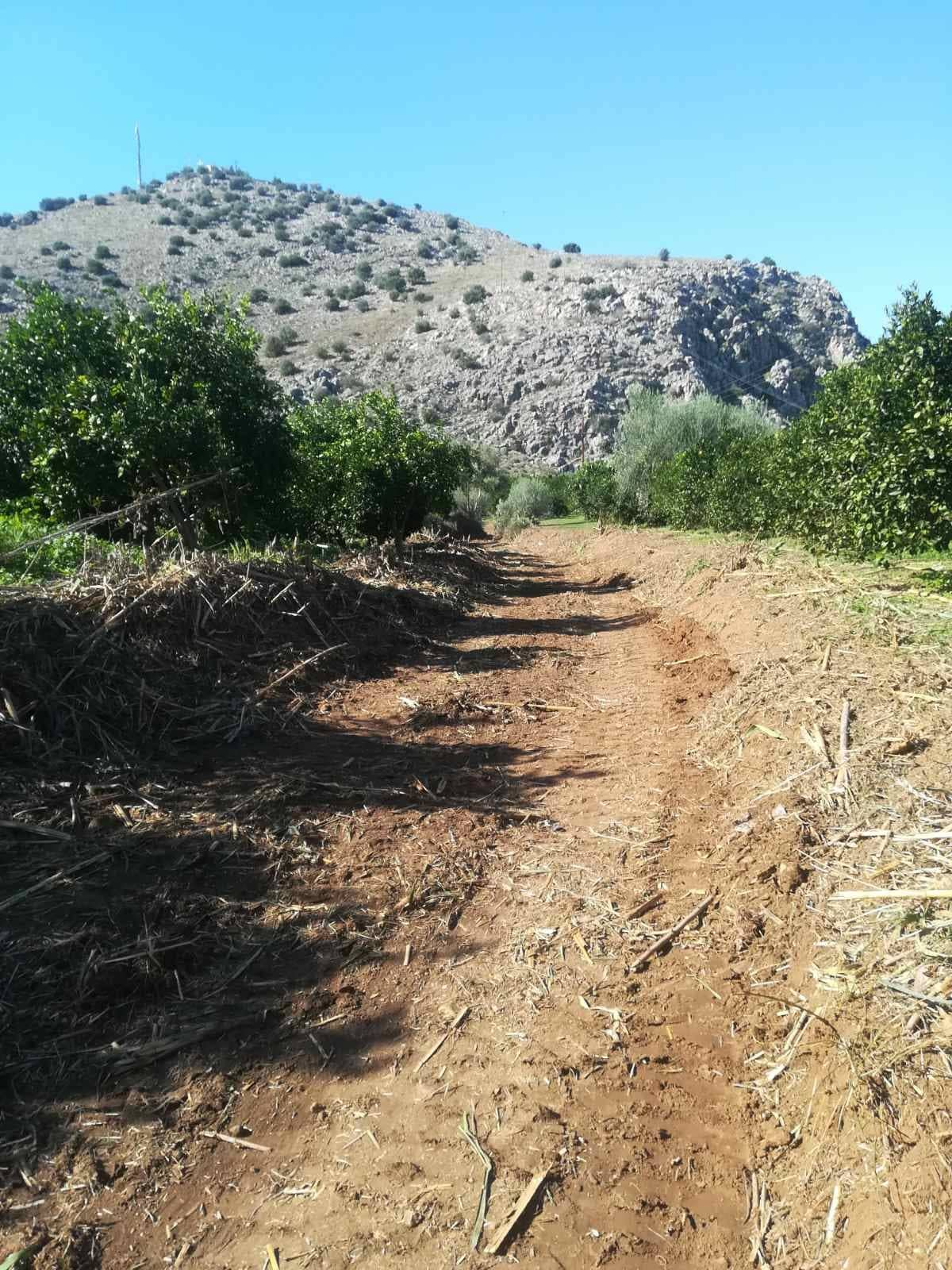 Καθαρισμός ρέματος Νέα Τίρυνθα (4)