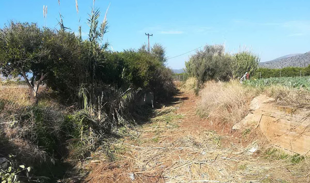 Καθαρισμός ρεμάτων Αργολίδα Ίρια (1)