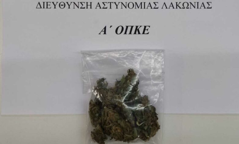 Αστυνομικές επιχειρήσεις ΓΑΔΠΠ 30 Νοεμβρίου