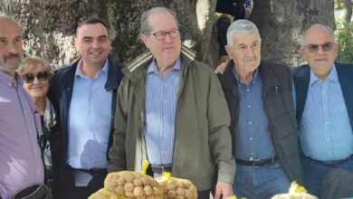 Γιορτή Κάστανου