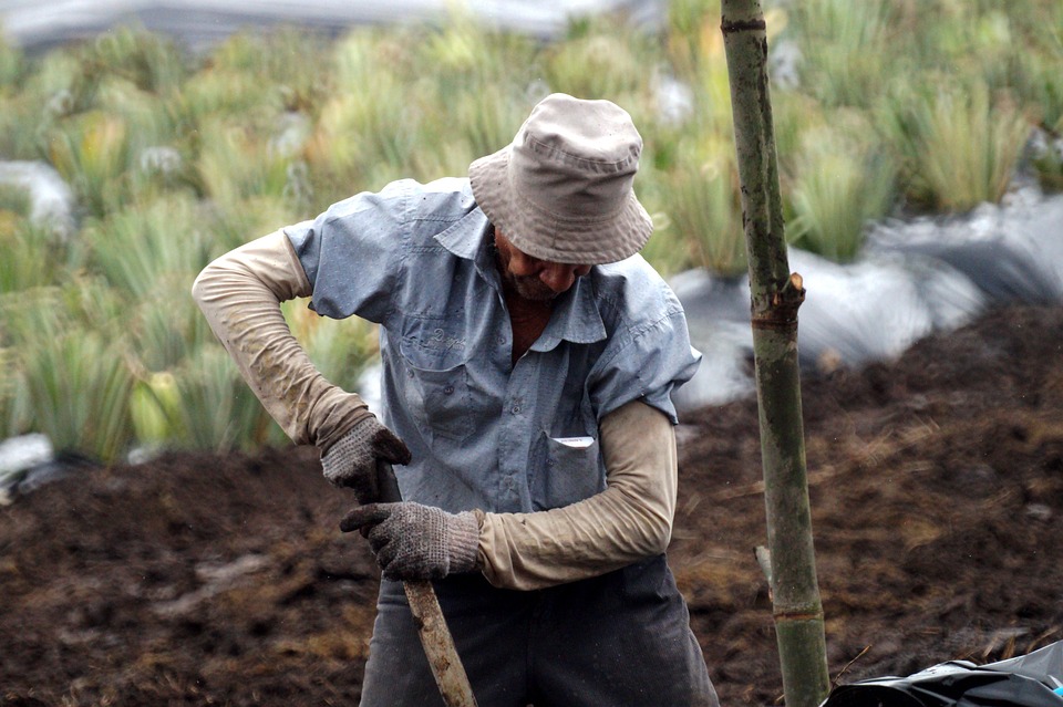 Εργάτες γης μέσω ΕΣΠΑ στην Περιφέρεια Πελοποννήσου