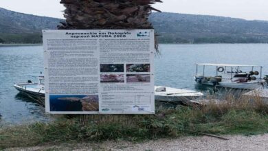 Ημερίδα με θέμα «Δράσεις Διαχείρισης για τη Διατήρηση της Βιοποικιλότητας και την Προστασία Ειδών και Οικοτόπων»
