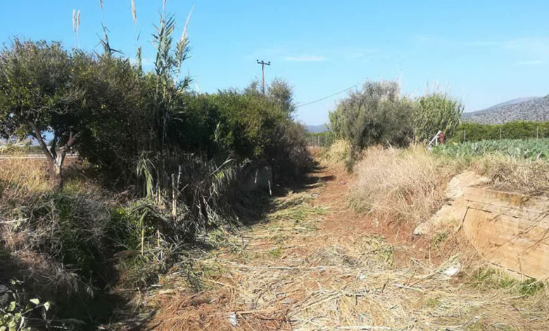 Καθαρισμός ρεμάτων Αργολίδα Ίρια (1)