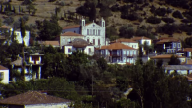 Κοντοβάζαινα