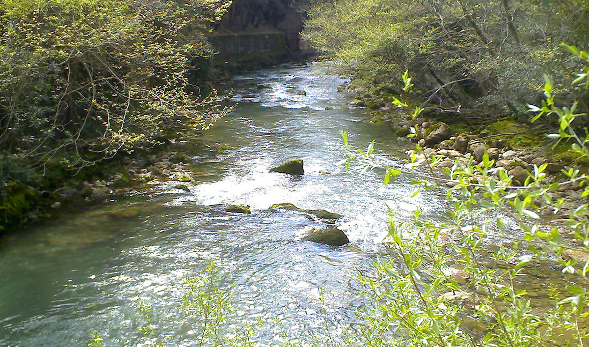 Λάδωνας ποταμός