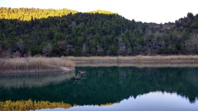 Λίμνη Τσιβλού (5)