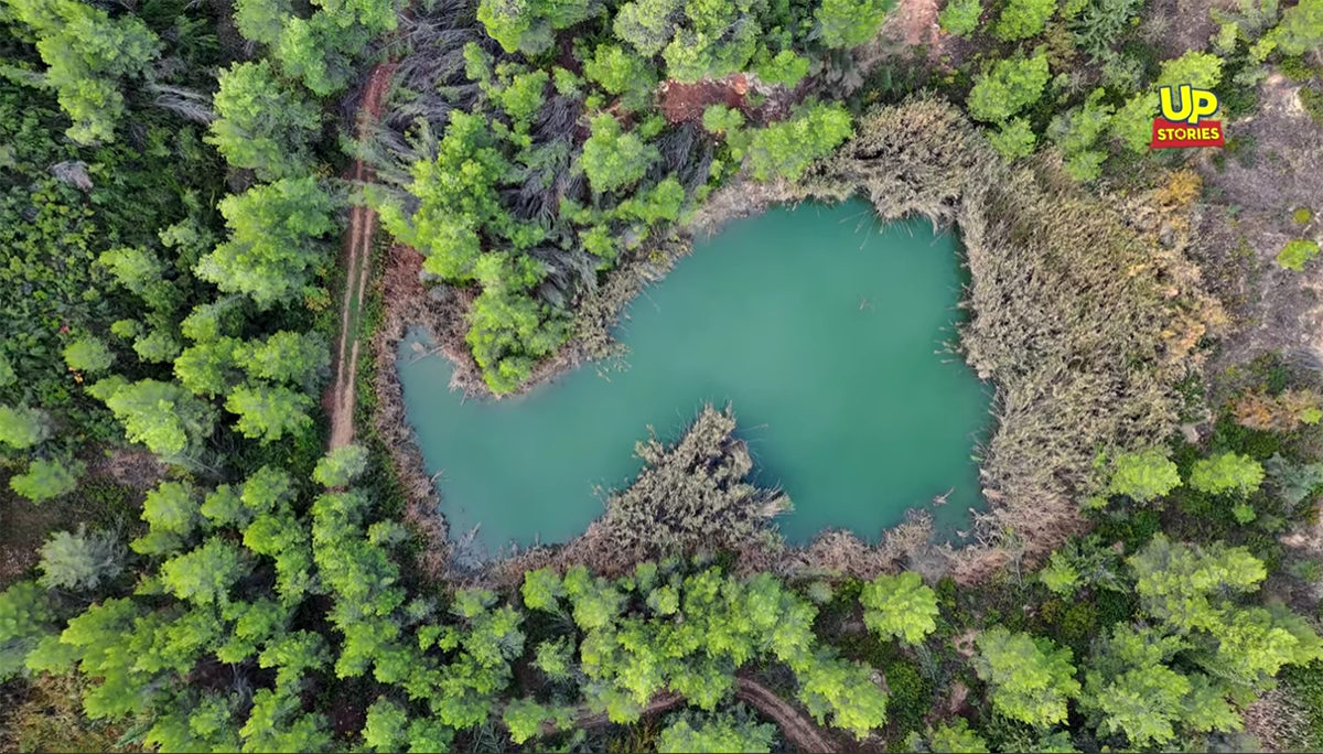Η άγνωστη Αλπικής ομορφιάς λίμνη που εκπλήσσει, μία ανάσα από την Αθήνα (Βίντεο)