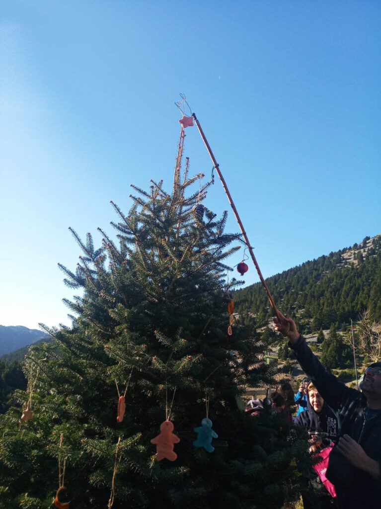 Βουνοπαρέα Αργολίδας δέντρο Μαίναλο (7)