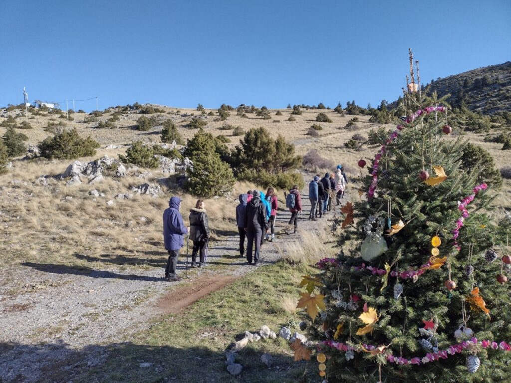 Βουνοπαρέα Αργολίδας δέντρο Μαίναλο (8)