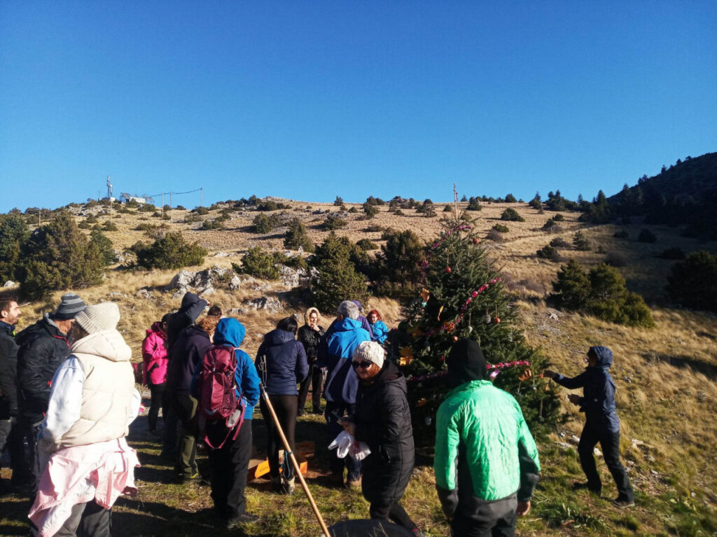 Βουνοπαρέα Αργολίδας δέντρο Μαίναλο (9)