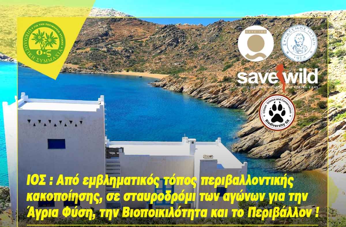 Στην Ίο η 5η διοργάνωση του «Θερινού Σχολείου για τη Θαλάσσια Βιοποικιλότητα»