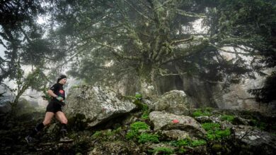 artemisio mountain running