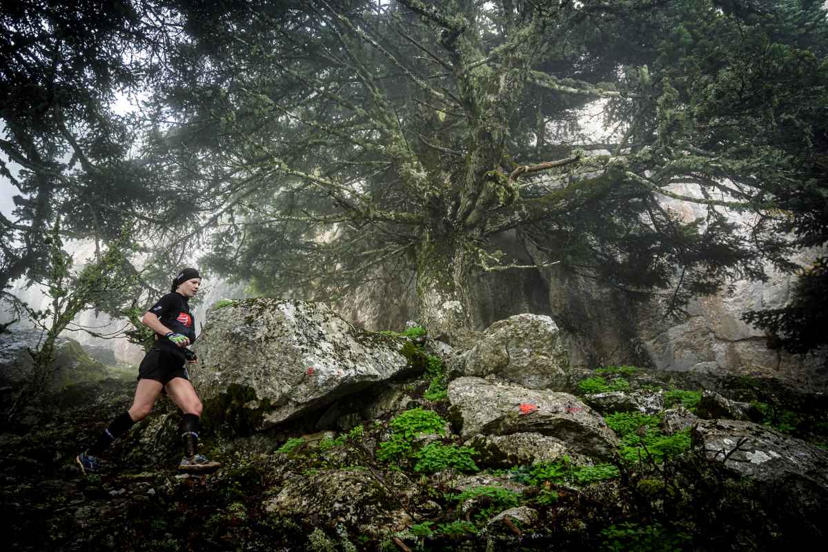 artemisio mountain running