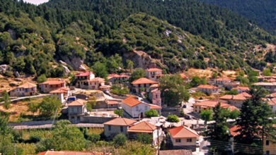 Αλωνίσταινα (1)