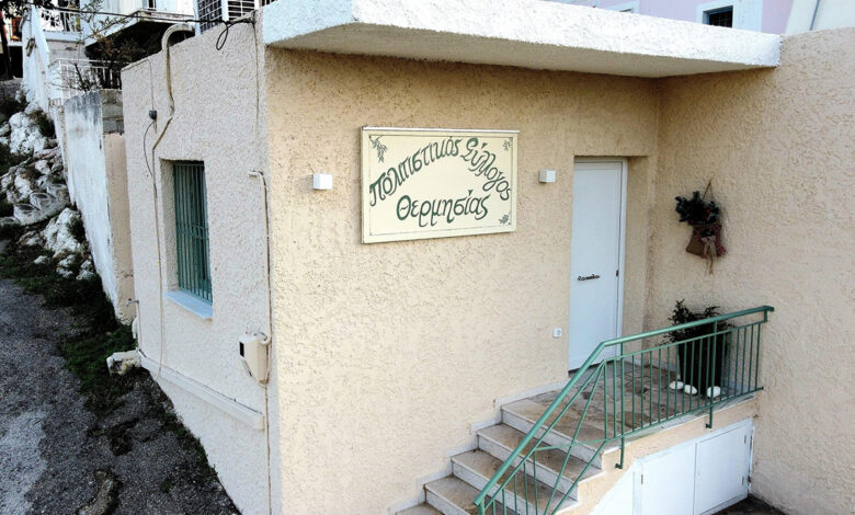 Εξωραϊσμός κτήριο κοινότητας Θερμησία (4)