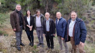 Καθαρισμοί δασών στο δήμο Λουτρακίου – Περαχώρας – Αγίων Θεοδώρων