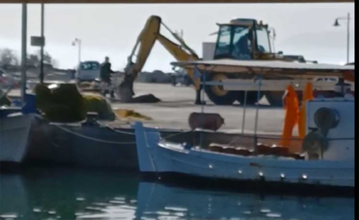Ν. Κίος: Νεκρό δελφίνι μπλεγμένο σε δίχτυα – Βρέθηκε στον Αργολικό κόλπο