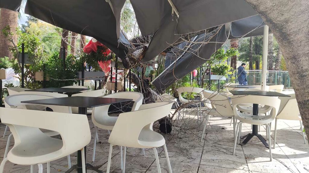 Πτώση δέντρου στην πλατεία Καποδίστρια στο Ναύπλιο (10)