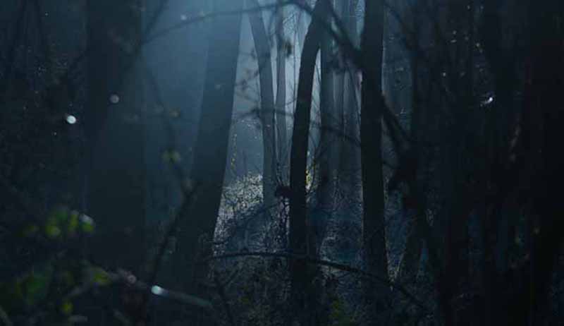 Σκοτεινό δάσος