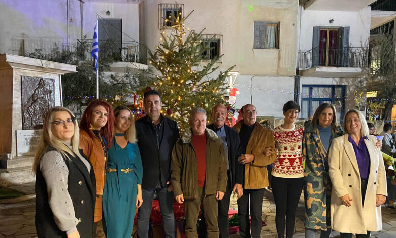 Χριστουγεννιάτικο δέντρο πάρκο Κρητών Τολό (2)