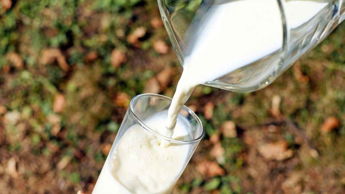 Ανδρέας Πουλάς: Άμεσα ενέργειες για τη νοθεία στο γάλα
