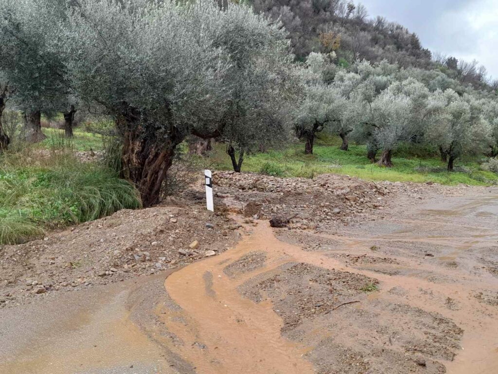 Ζημιές κακοκαιρία Λακωνία (3)